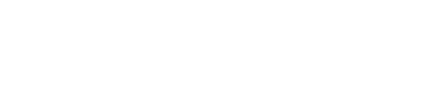 The Advantage Software Company